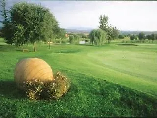 Birdie 4*